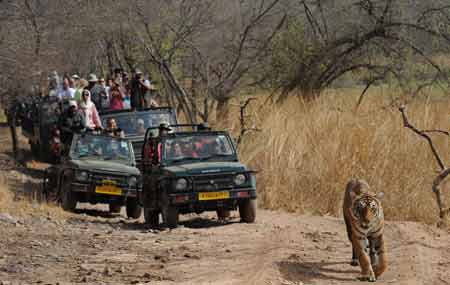 golden-triangle-tour-with-bharatpur-and-ranthambore-small